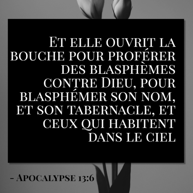 16 décembre 2020 [Actu]