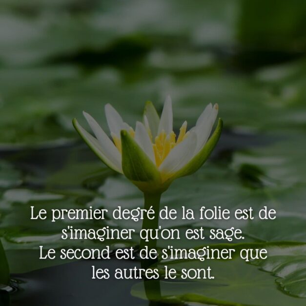 21 décembre2020