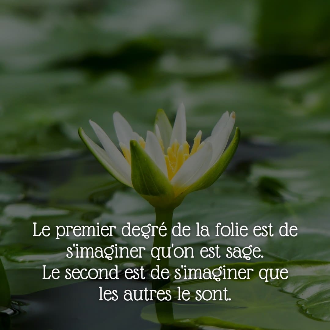 21 décembre2020