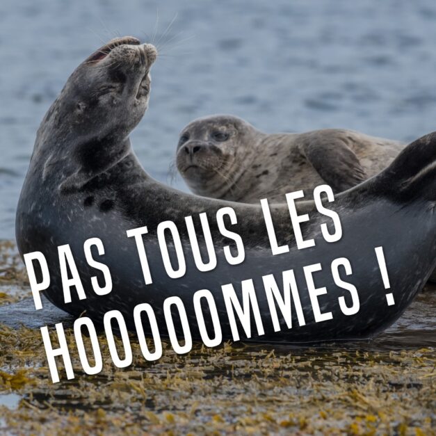 23 décembre 2020 [Sealioning]