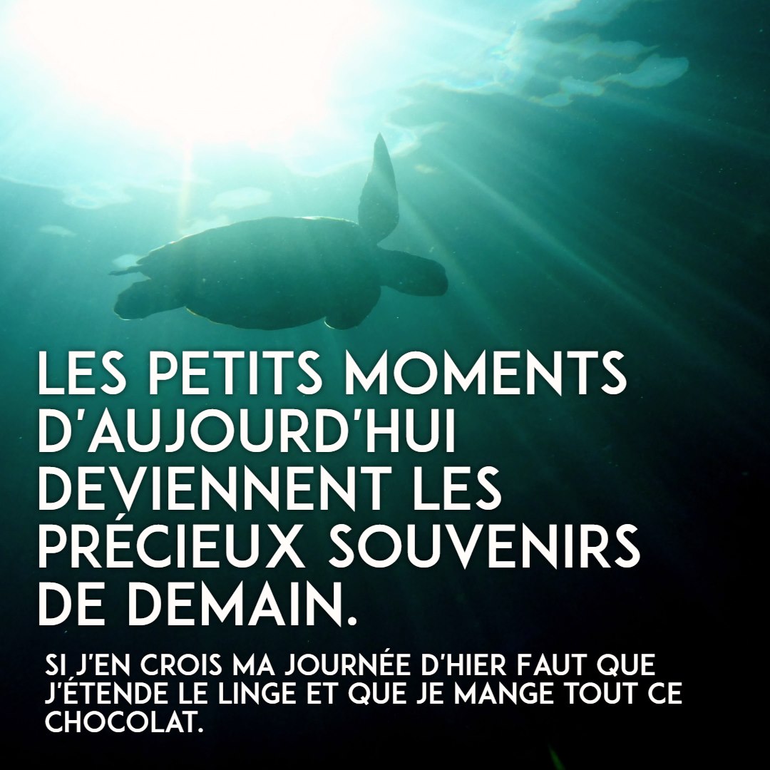 2 mars 2021 [Faux souvenirs]