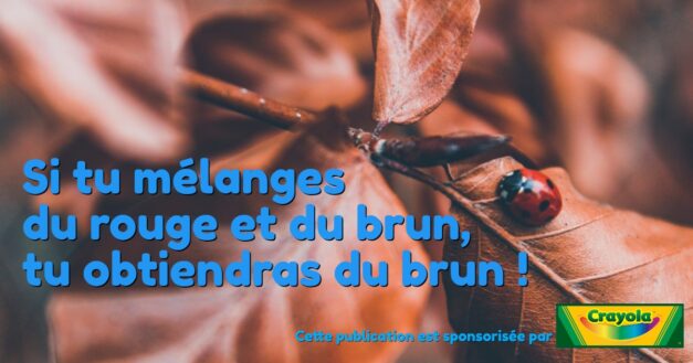 15 novembre 2020 [COVID, confusionnisme, complot et propagande]
