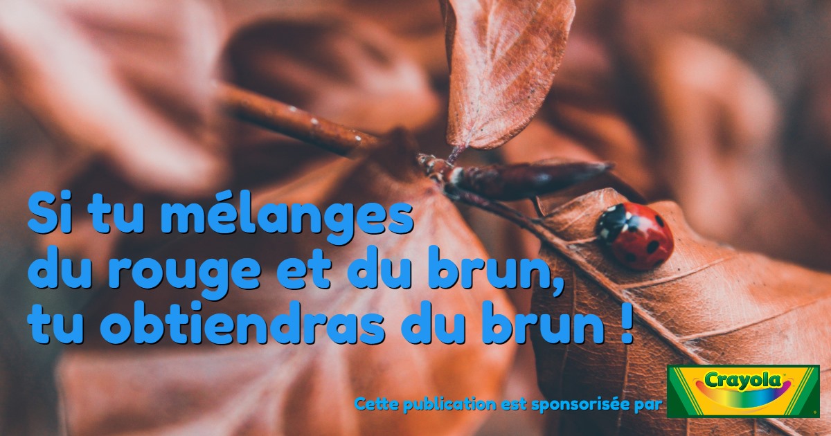 15 novembre 2020 [COVID, confusionnisme, complot et propagande]