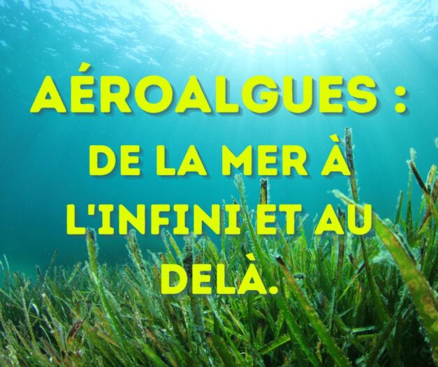 21 juin 2021 [Dictionnaire du monde actuel – Aérotrain, Algatron]