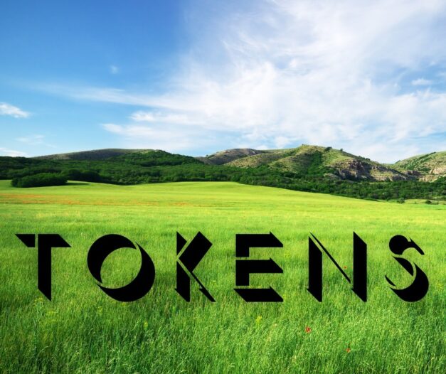 23 novembre 2021 [Tokens]