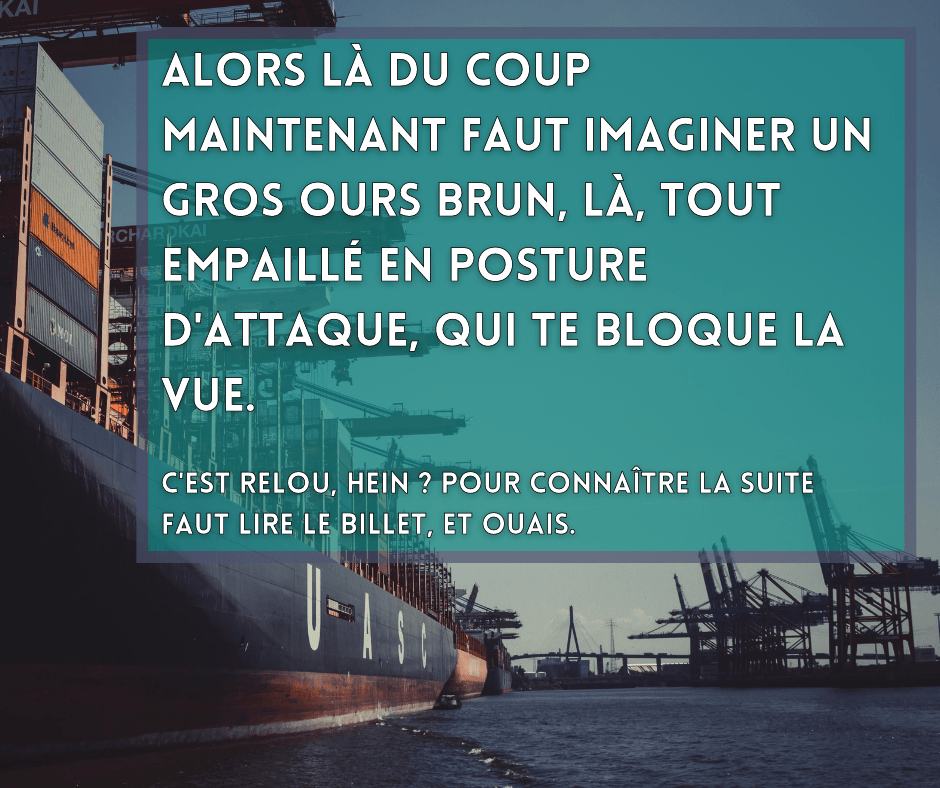 19 décembre 2021 [Coincés dans le Canal de Suez]