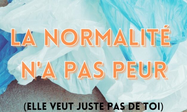28 décembre 2021 [Normalité, validisme, rejet]