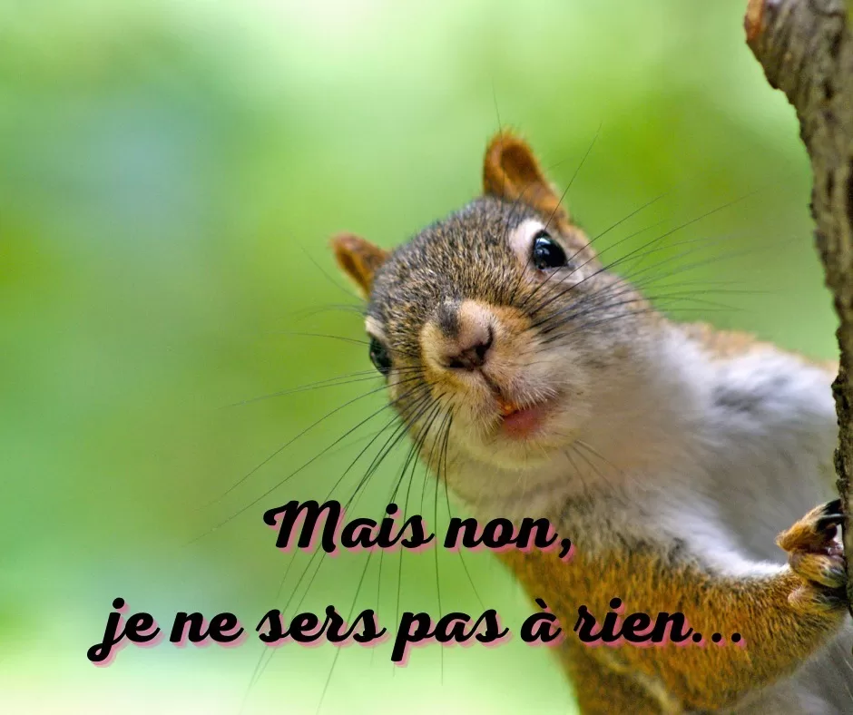 22 janvier 2022 [Mon militantisme de canapé]