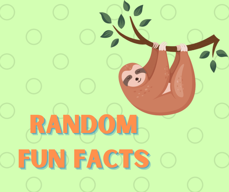 25 février 2022 [Random fun facts]