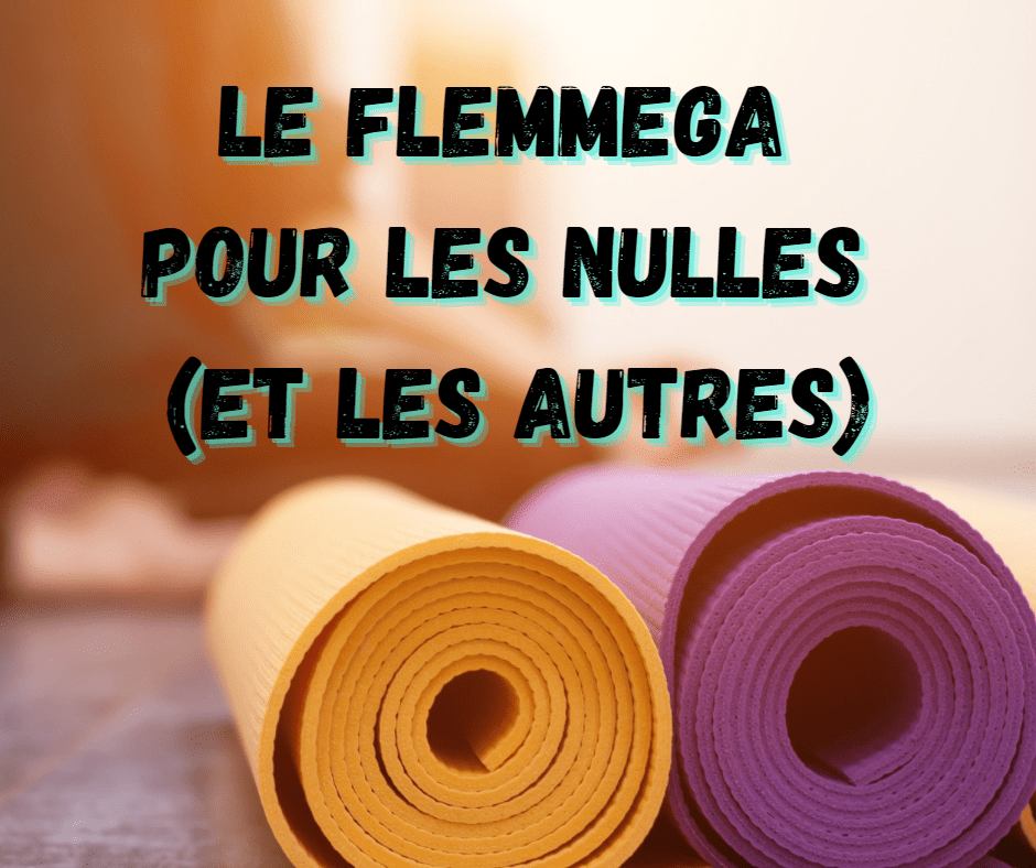 26 février 2022 [Le yoga de la flemme pour les nul-les et les autres]