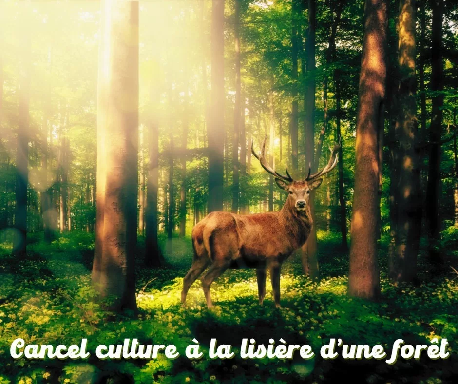 19 mars 2022 [La Zététique et la cancel culture][Vous avez RIEN pigé même en 2023]