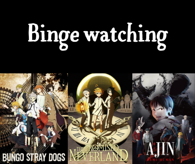 13 mars 2023 [Binge Ajin – The Promised Neverland – Bungo Stray Dogs]