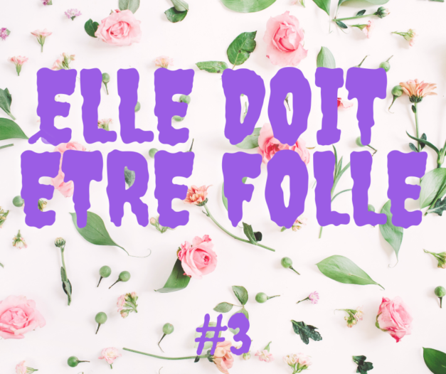 Elle doit être folle #3 – Jennifer L. Reimer