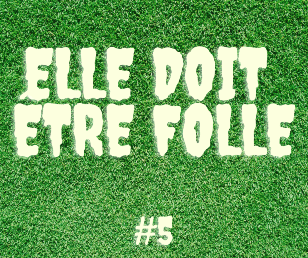 Elle doit être folle #5 – Jennifer L. Reimer