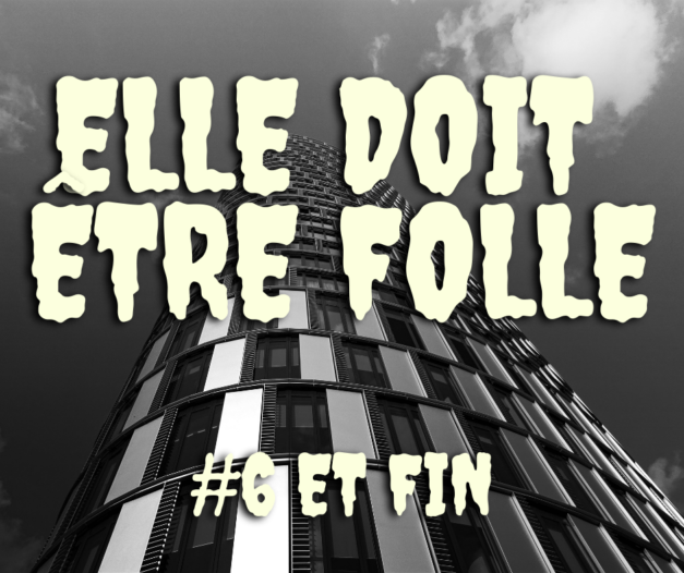 Elle doit être folle #6 – Jennifer L. Reimer