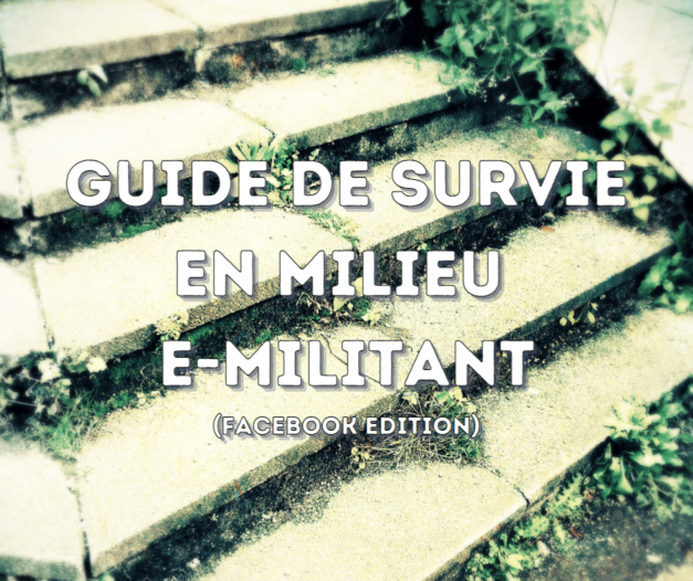 18-19 décembre 2020 [Guide de survie féministe en milieu e-militant]