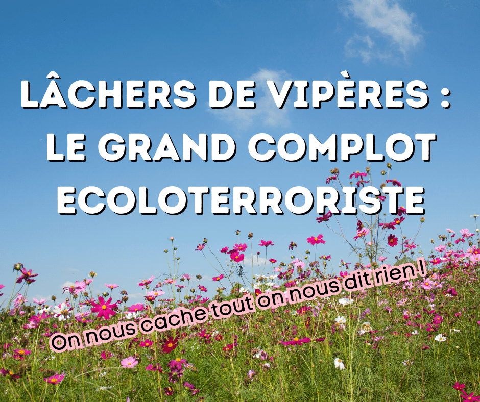 11 juin 2023 [Conspiration des vipères en France]