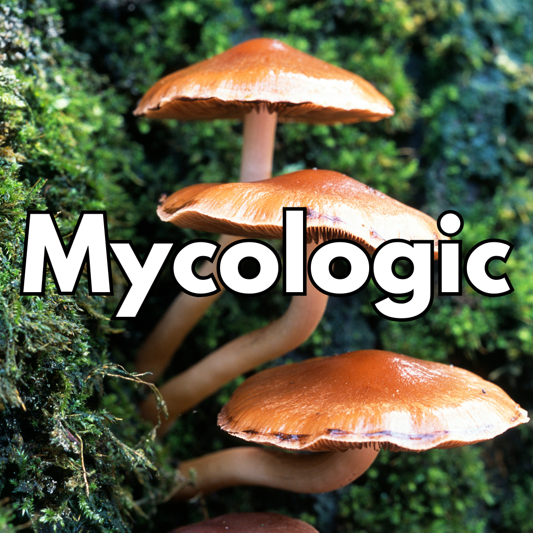 Mycologic