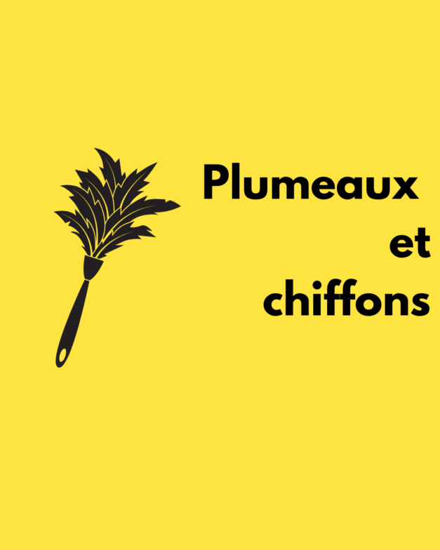 Plumeaux et chiffons