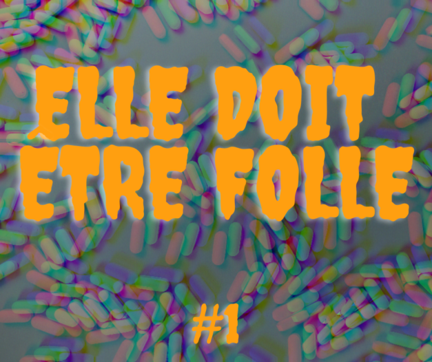 Elle doit être folle #1 – Jennifer L. Reimer