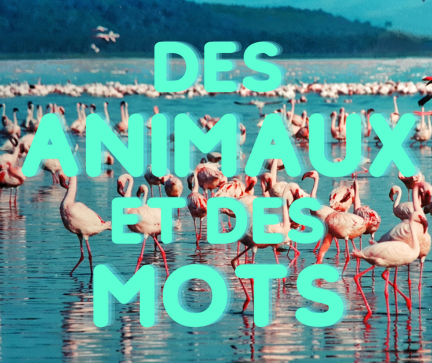 4 octobre 2022 [Animaux et mots]