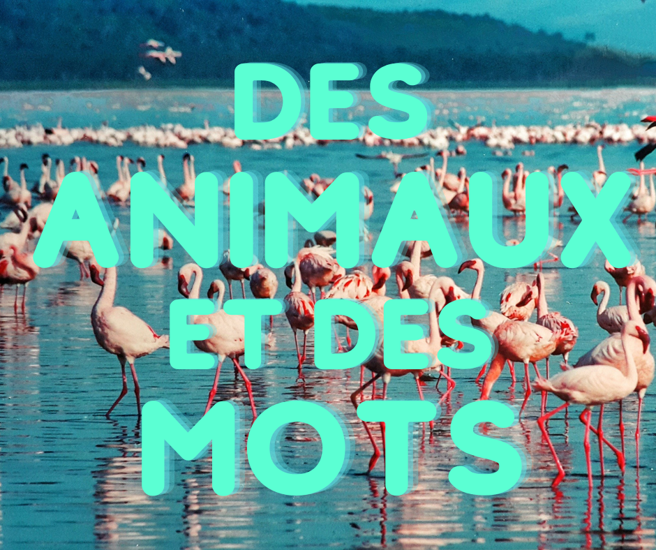4 octobre 2022 [Animaux et mots]