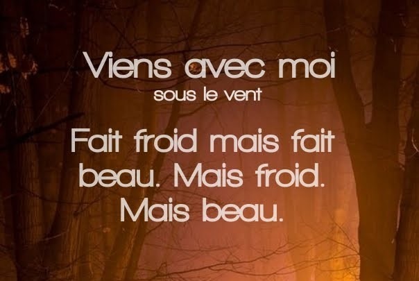 1 novembre 2020 [C’est la flemme qui fait avancer le monde]