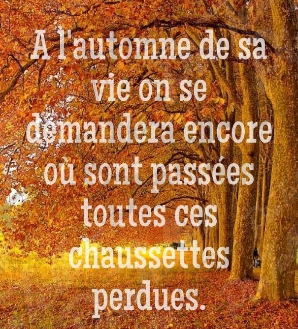 2 novembre 2020 [Perso – écriture]