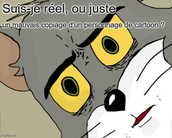 Unsettled Tom Meme Suis-je réel, ou juste un mauvais copiage d'un personnage de cartoon ?