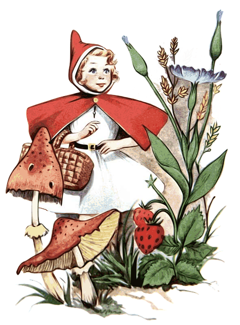 Illustration : le petit chaperon rouge